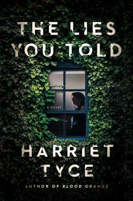 تحميل The Lies You Told PDF