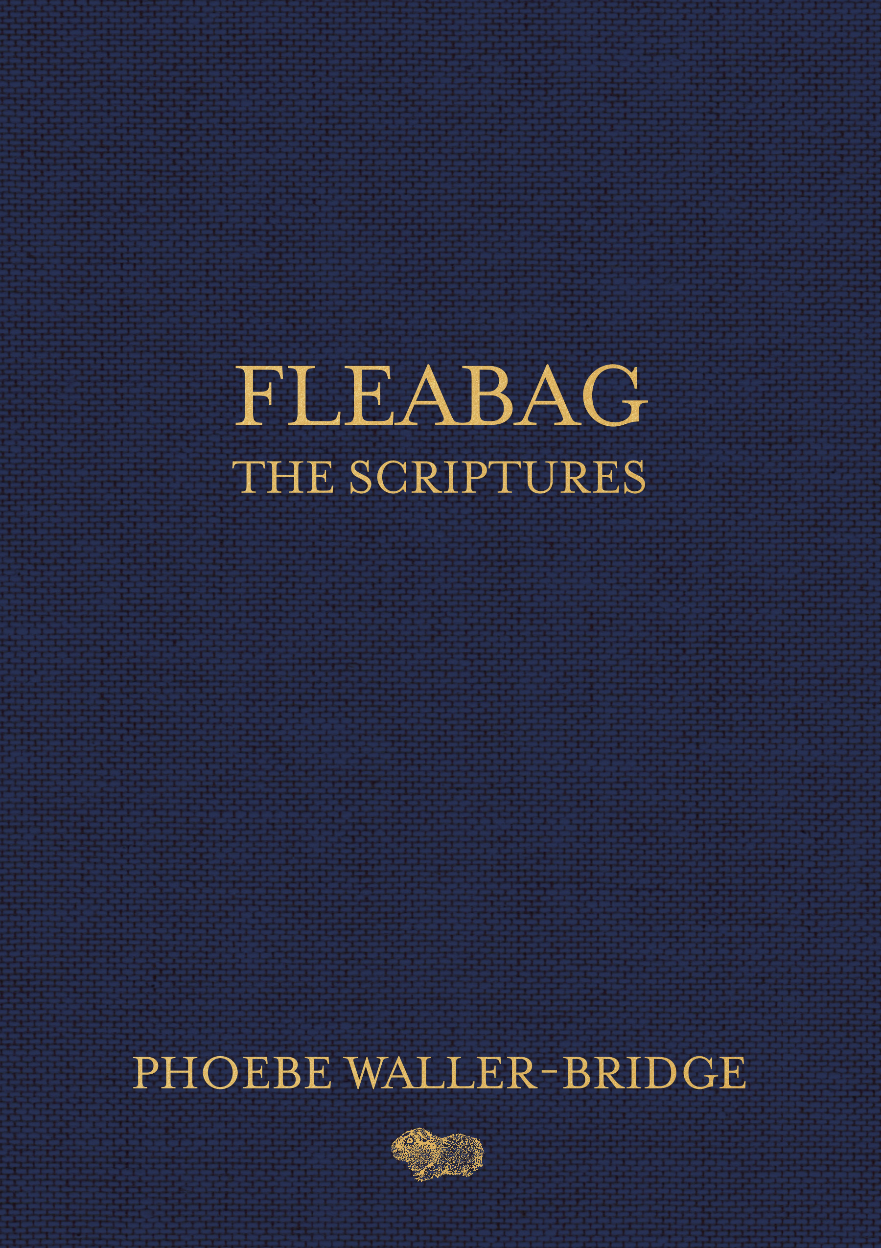 تحميل Fleabag: The Scriptures PDF