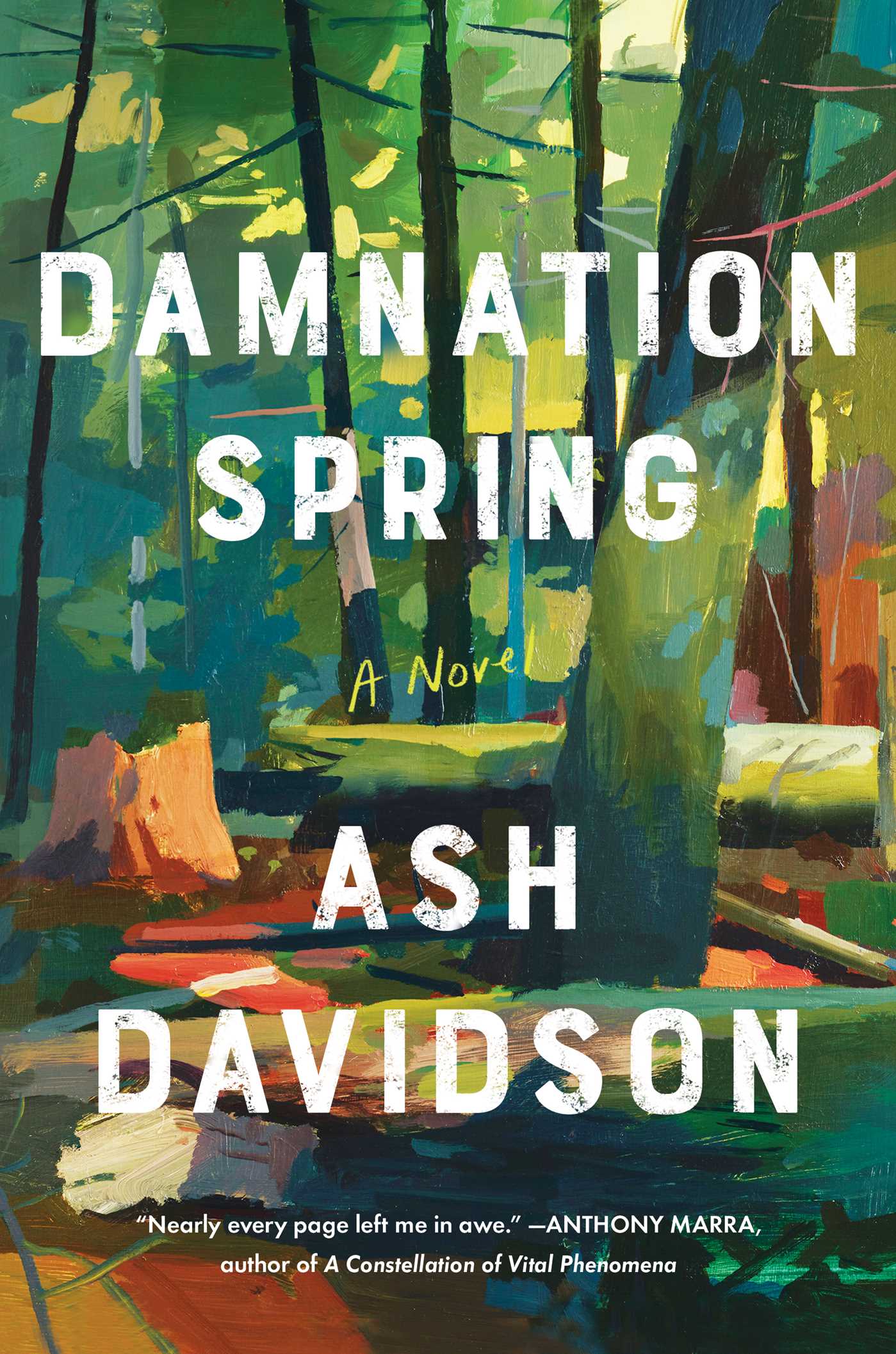 تحميل Damnation Spring by Ash Davidson PDF