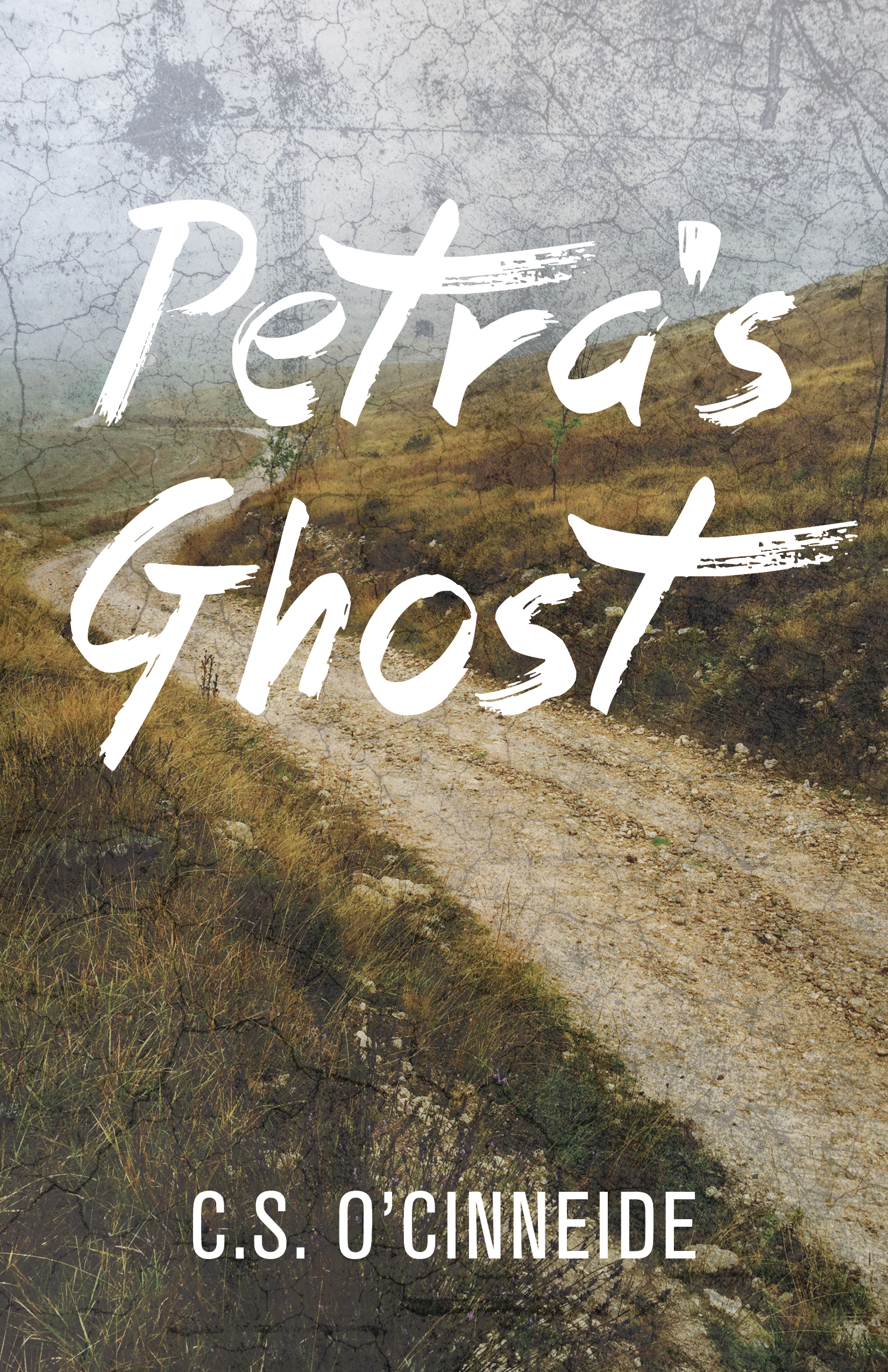 تحميل Petra's Ghost PDF