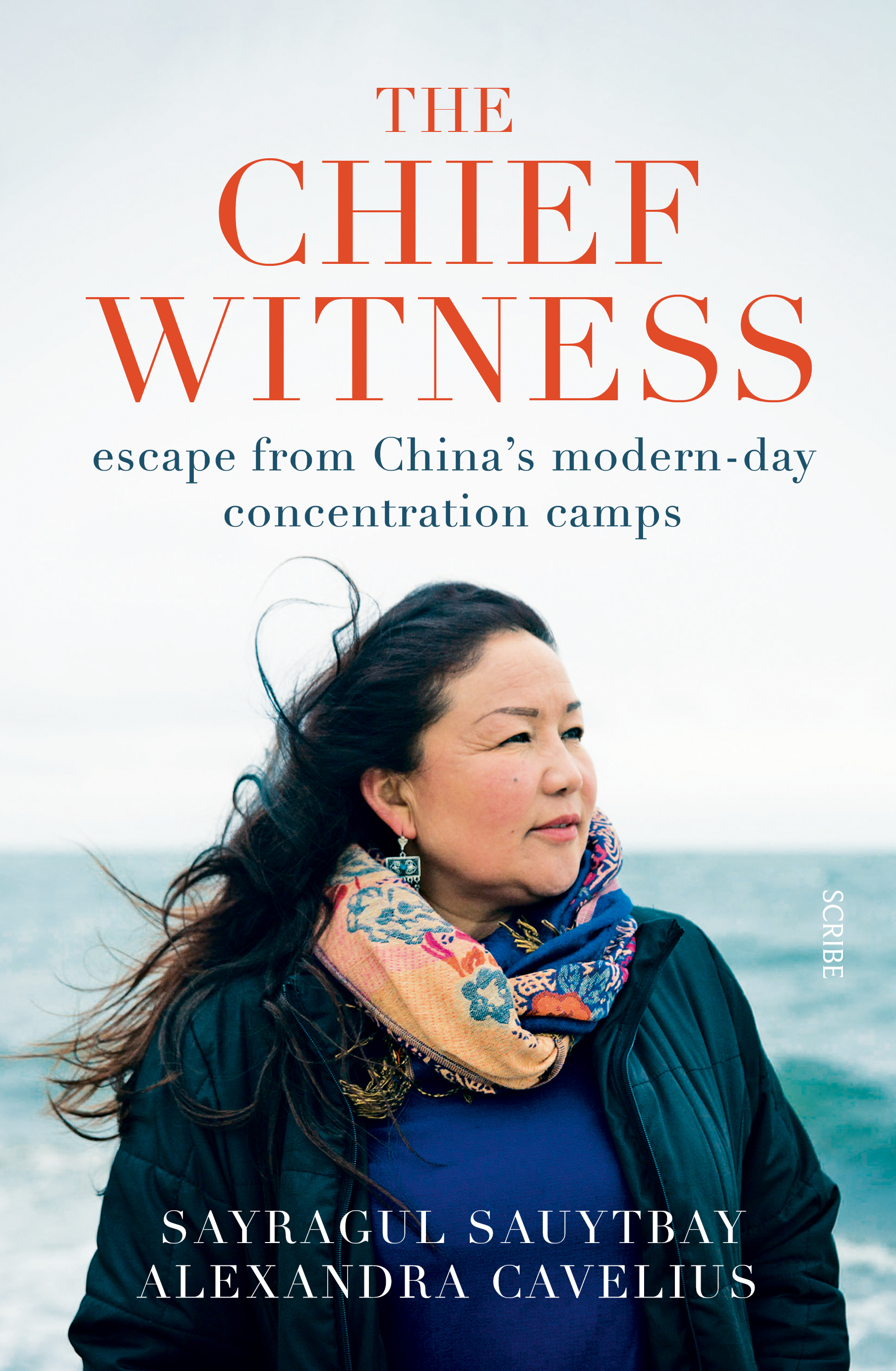 تحميل The Chief Witness PDF