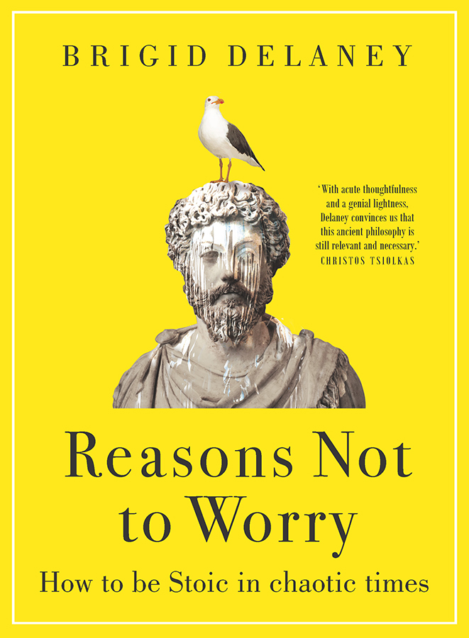 تحميل Reasons Not to Worry by Brigid Delaney PDF
