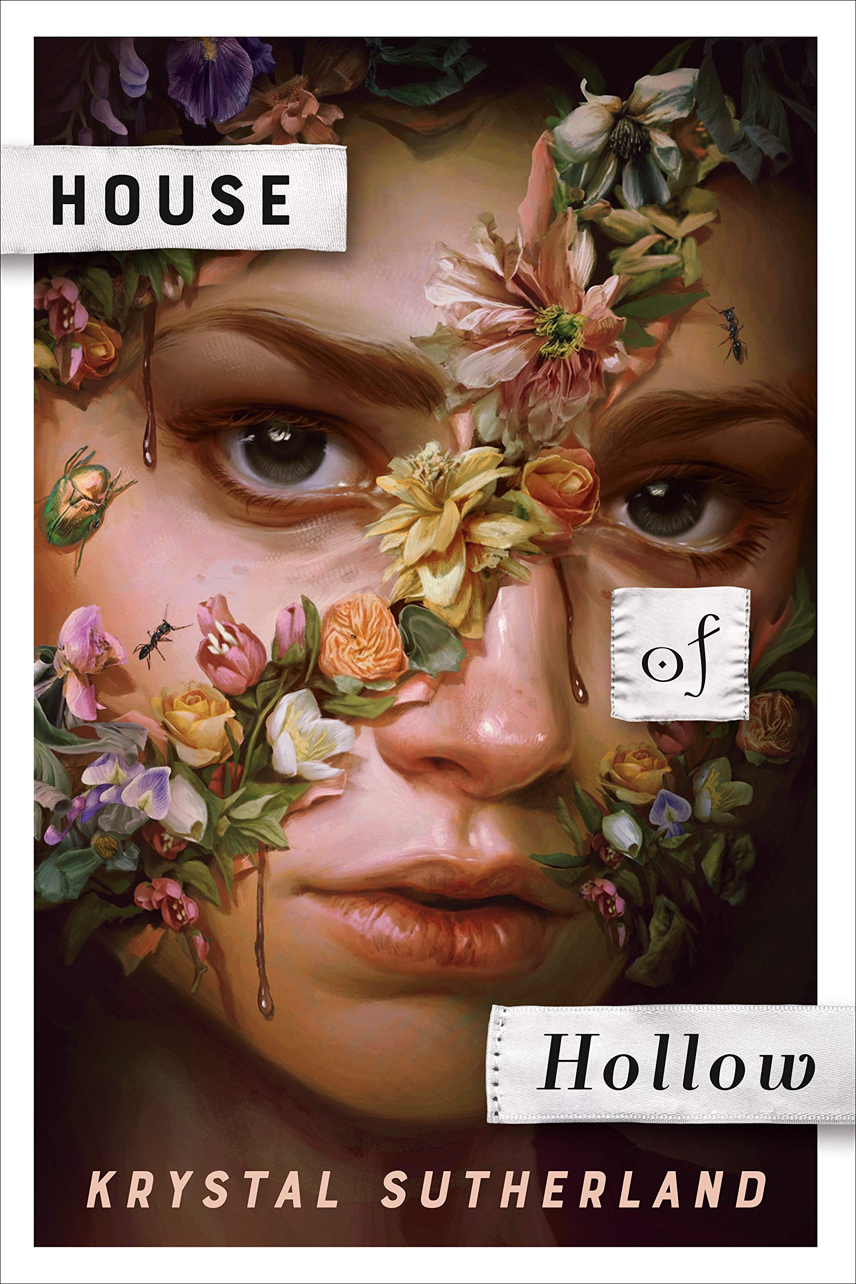 تحميل House of Hollow by Krystal Sutherland PDF