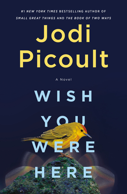 تحميل Wish You Were Here PDF
