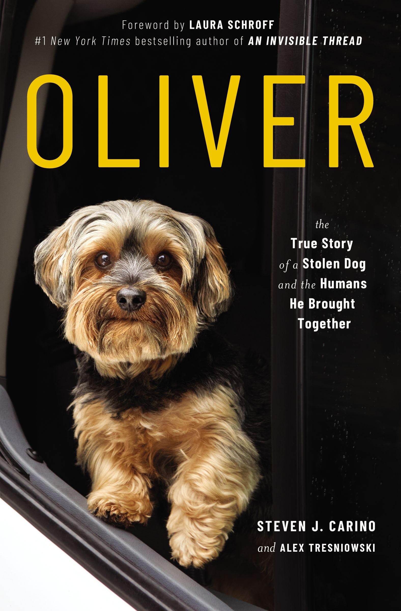 تحميل Oliver by Steven J. Carino , Alex Tresniowski PDF