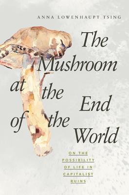 تحميل The Mushroom at the End of the World #4 PDF