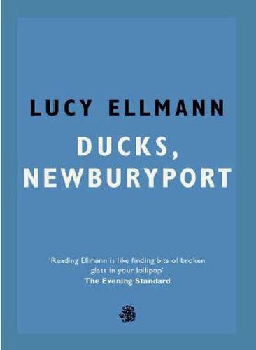 تحميل Ducks, Newburyport by Lucy Ellmann PDF