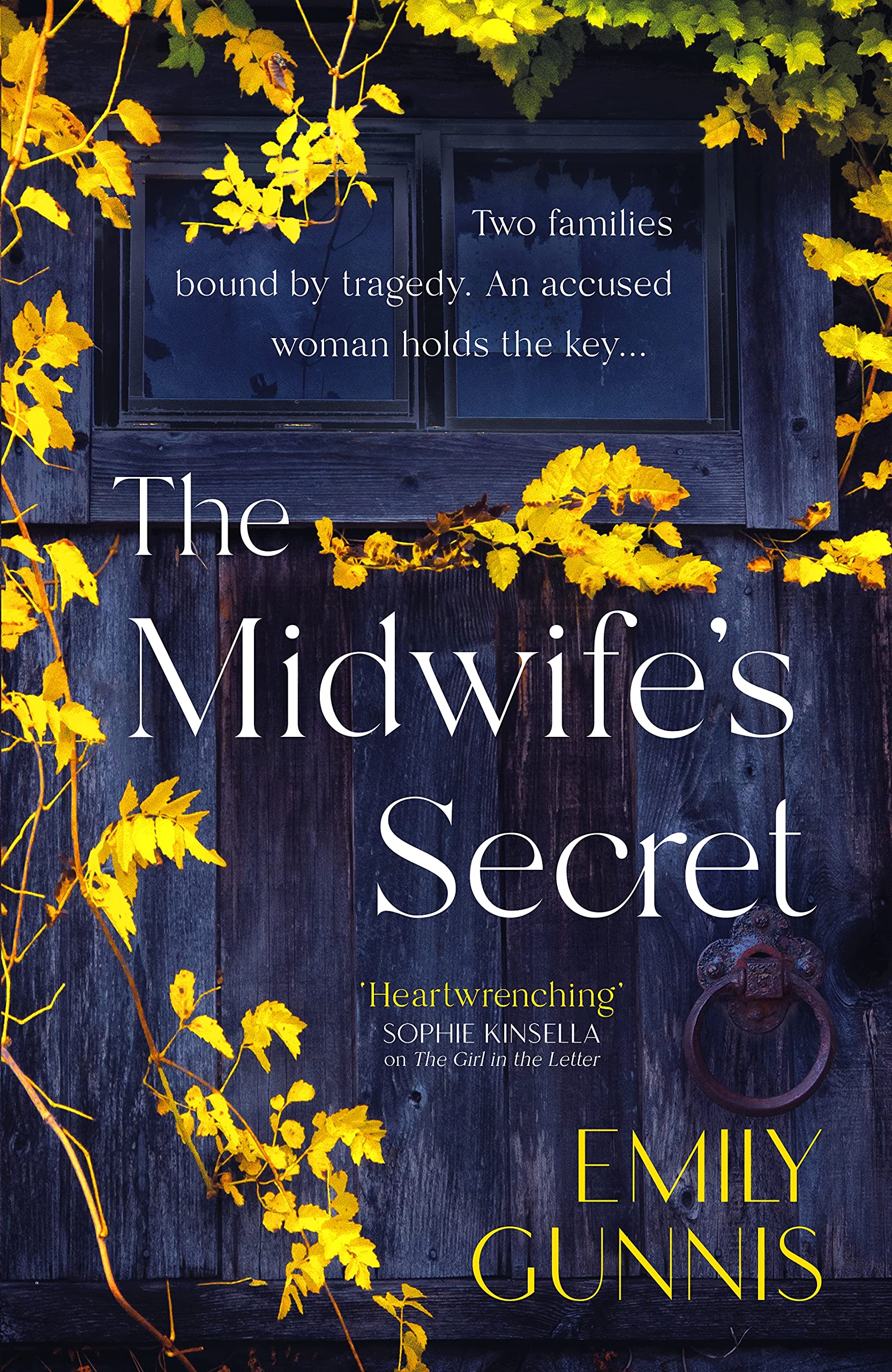 تحميل The Midwife's Secret PDF
