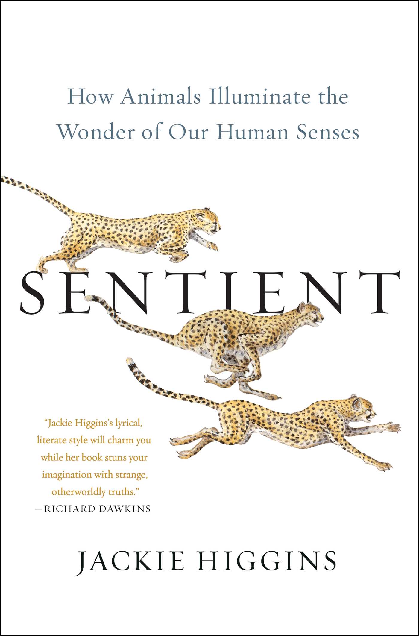 تحميل Sentient by Jackie Higgins PDF