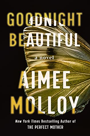 تحميل Goodnight Beautiful by Aimee Molloy PDF